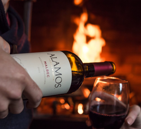 at The Camperdown Elm